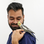 Dr. Mohit